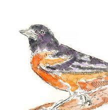 Load image into Gallery viewer, oriole watercolor 5x7
