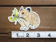 Load image into Gallery viewer, Pika Boquete Sticker
