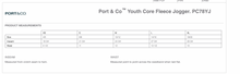 Load image into Gallery viewer, CCSC-WILDFIRE - Port &amp; Co™ Youth Core Fleece Jogger- gray
