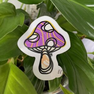 Purple & Yellow Mushroom