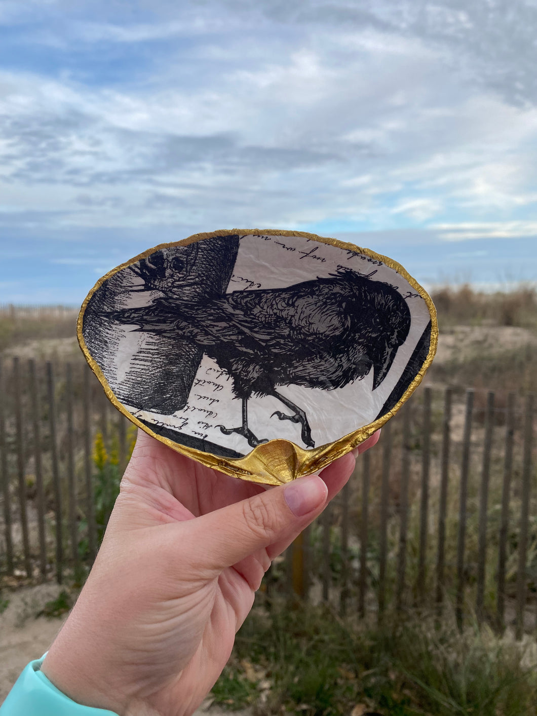 Crow/Raven Spooky Decoupaged Clam Shell