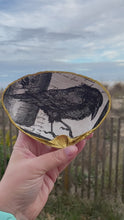 Load and play video in Gallery viewer, Crow/Raven Spooky Decoupaged Clam Shell
