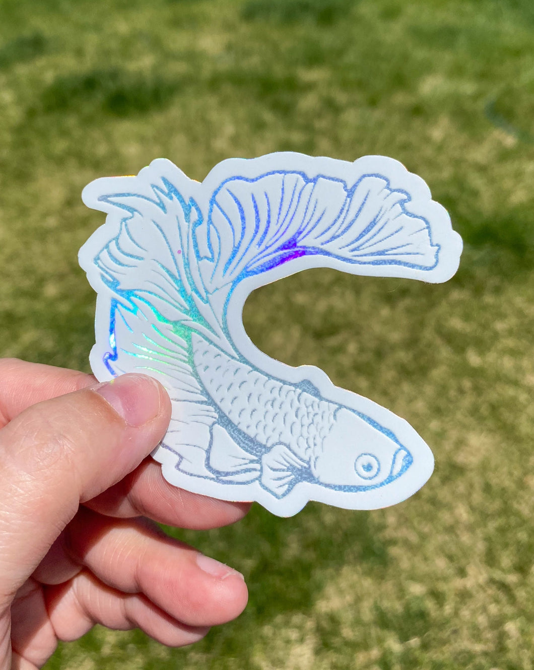 Holographic Betta Fish Sticker